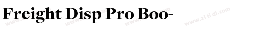 Freight Disp Pro Boo字体转换